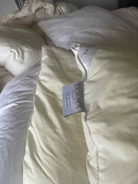 Photo of free Duvet and cushions (Withdean) #3