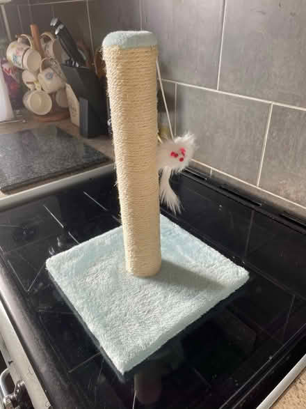 Photo of free 2 Cat Scratch Posts (Sedgley DY3) #1