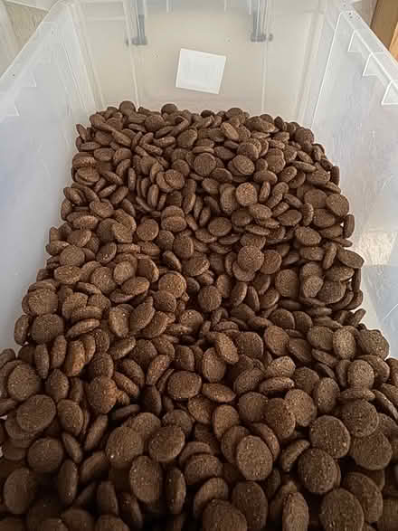 Photo of free Dry dog food (Finham CV3) #1