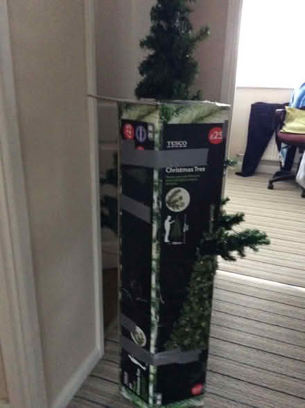 Photo of free Christmas tree (CM9 6js) #2