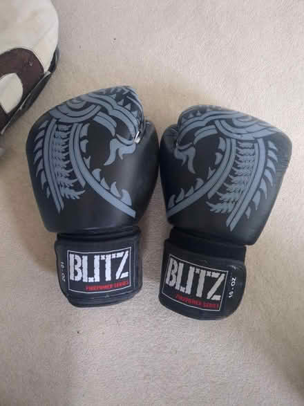 Photo of free Sparring gloves (Caversham RG4) #1