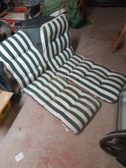 Photo of free garden loungers (Gainsborough DN21) #3