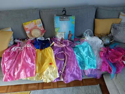 Photo of free Dressing Up Clothes (Kempshott, Basingstoke) #1