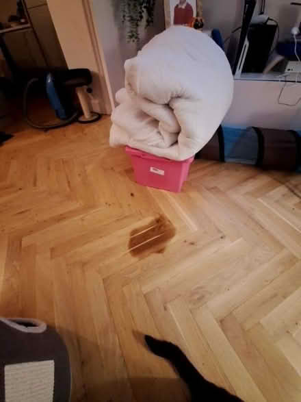 Photo of free King size quilt (Withington M20) #1