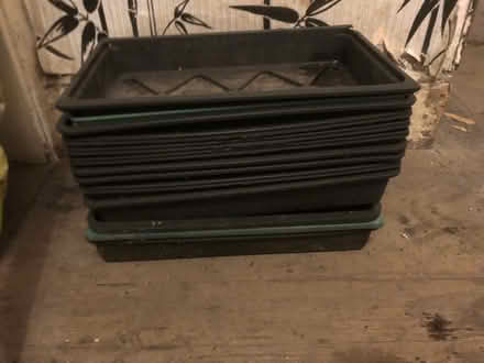 Photo of free Seed trays (Farningham DA4) #1