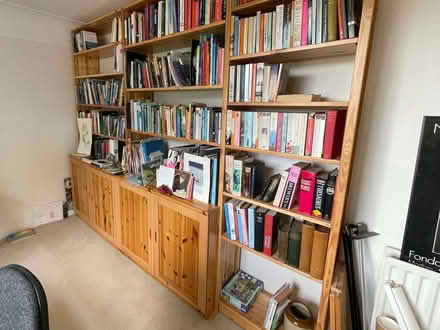 Photo of free "Shelfstore" bookcase, 218.5 cms high x 43 cms max (Ayton TD14) #1