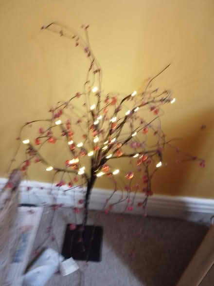 Photo of free Christmas lights (Stroud GL10) #2