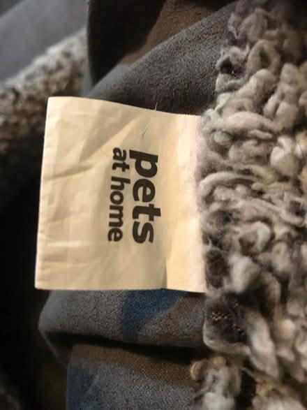 Photo of free Cat bed (Cardonald, Glasgow, G52) #4