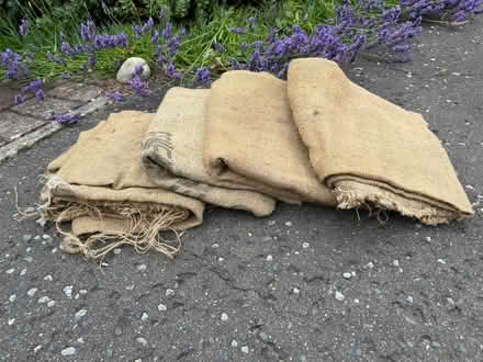 Photo of free Hessian Sacks (Liff DD2) #1