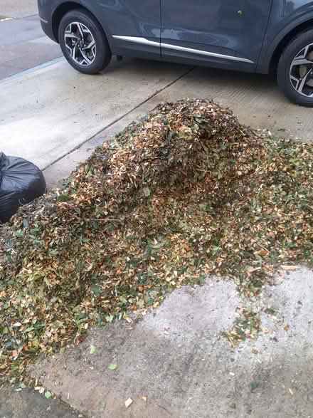 Photo of free Wood bark/chippings (Dagenham RM8) #1