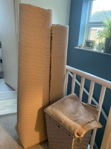 Photo of free Carpet (Havant) #4