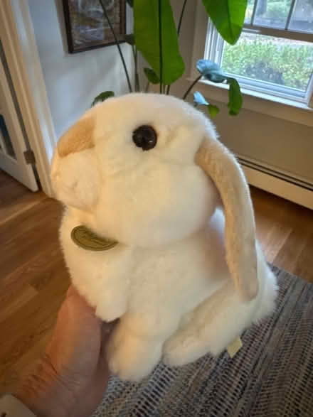 Photo of free Popsicle maker & Stuffed Bunny (Newton Highlands south of Rt 9) #1
