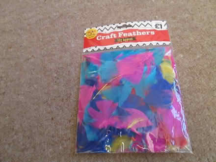 Photo of free Craft feathers (Enfield EN2) #1