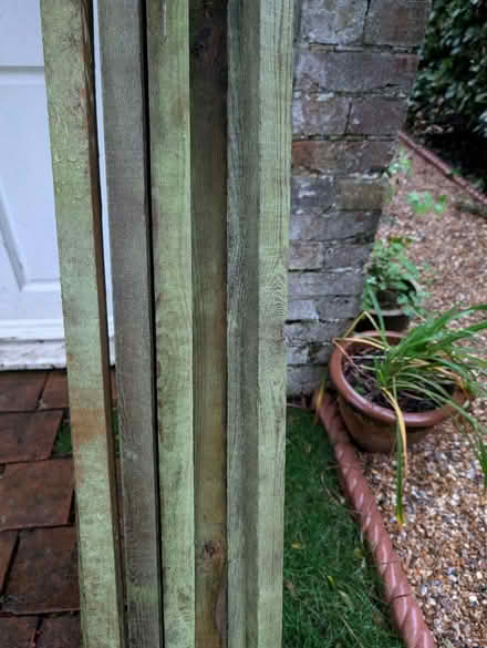 Photo of free Garden timber (South Chailey) #1