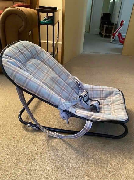 Photo of free Baby bouncer (Crawley RH11) #3