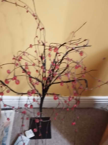 Photo of free Christmas lights (Stroud GL10) #1