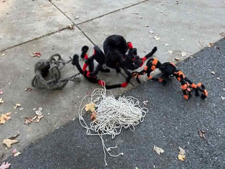 Photo of free Halloween decorations (Kentlands in Gaithersburg) #1