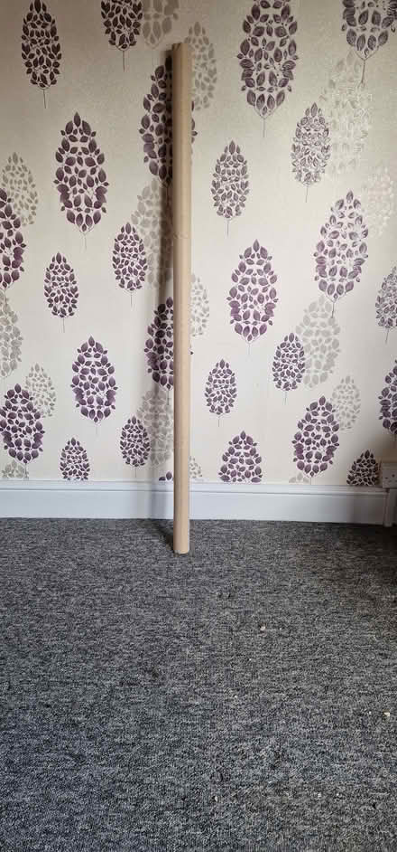 Photo of free Cardboard tube for crafts (Burnham-on-Sea) #1