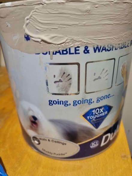 Photo of free Third of a can dulux muddy puddle (wallingford..wantage road) #1