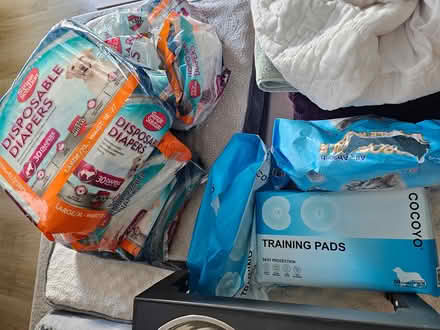 Photo of free Senior Dog Items - bed, new diapers (33606) #2