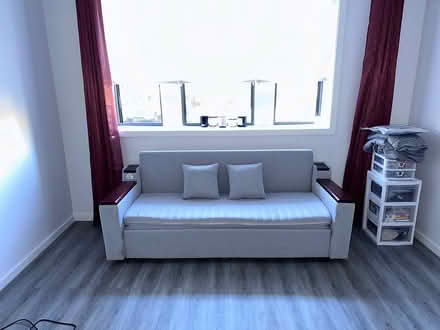 Photo of free “sofa pullout bed” (Philadelphia) #3