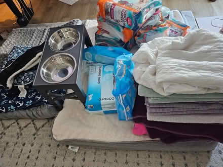 Photo of free Senior Dog Items - bed, new diapers (33606) #1