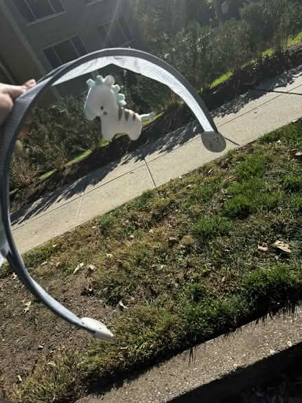 Photo of free Baby bouncer chair (Nw) #3