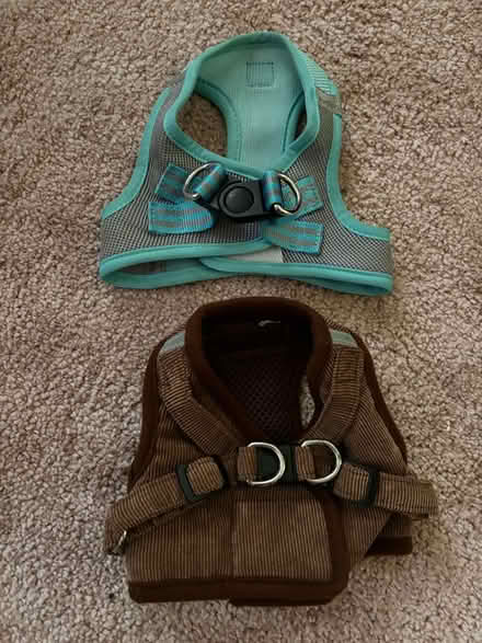 Photo of free Puppy/small dog harnesses (Hastings) #1