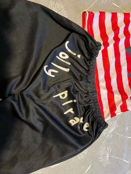 Photo of free Pirate costume (Woodley) #2