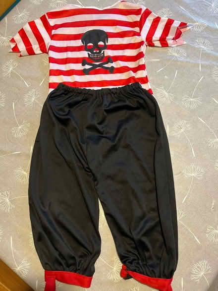 Photo of free Pirate costume (Woodley) #1