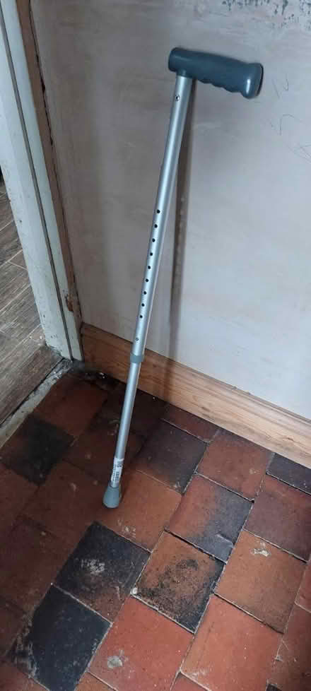 Photo of free Walking stick (Audley) #1