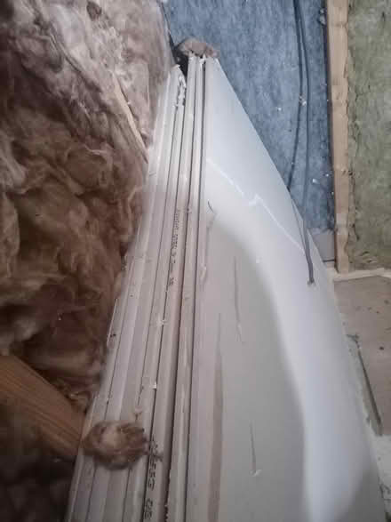Photo of free Plasterboard (Bramley LS13) #3