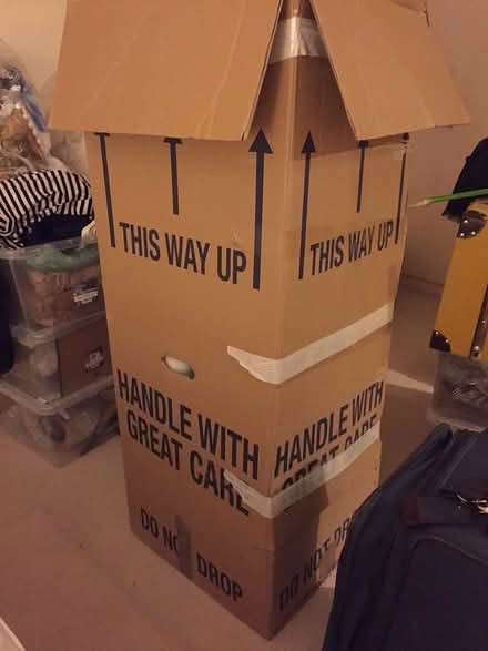 Photo of free Wardrobe moving boxes (Eastbourne BN22) #2