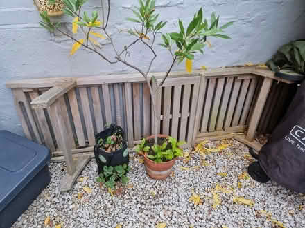 Photo of free Wooden Sun Lounger and cushion (SW6) #1