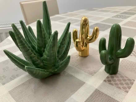Photo of free 3 small ceramic cactus (Strawberry Hill TW2) #1