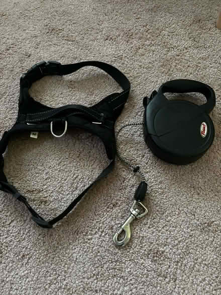 Photo of free Medium dog harness & flexi lead (Hastings) #1