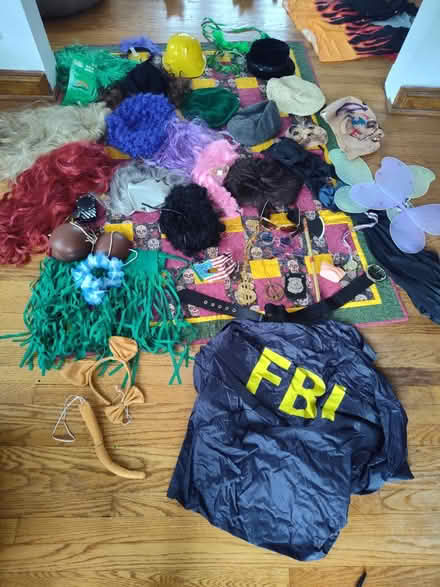 Photo of free Halloween costumes + accessories (St Clair Shores) #1