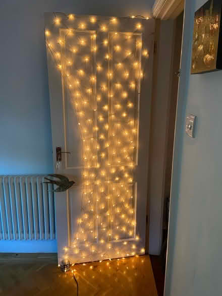 Photo of free Fairy lights (Prestwich M25) #3