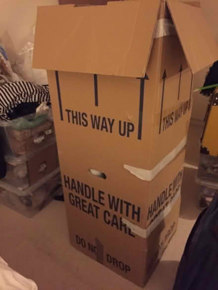Photo of free Wardrobe moving boxes (Eastbourne BN22) #1