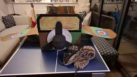 Photo of free Aeroplane costume (Barrhead G78) #2