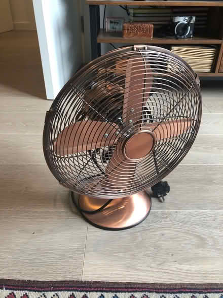 Photo of free Fan (Honor Oak SE23) #1