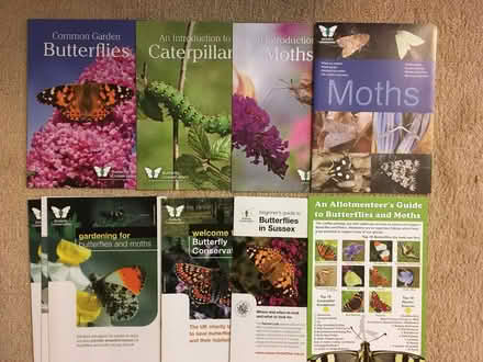 Photo of free Leaflets about butterflies and moths (Upper Bevendean BN2) #1