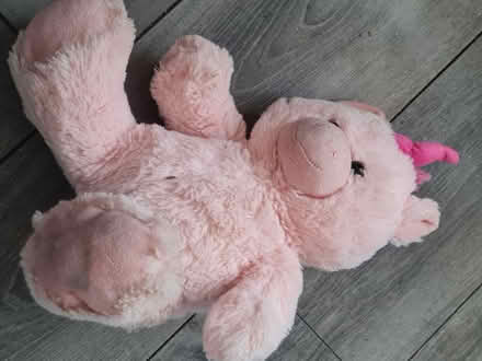 Photo of free Teddy's (Walsall WS3) #1