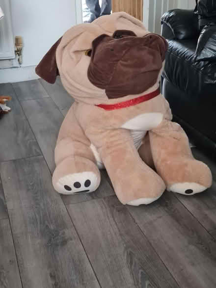 Photo of free Teddy's (Walsall WS3) #3