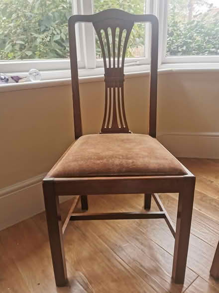 Photo of free 6 dining chairs (Withington M20) #4