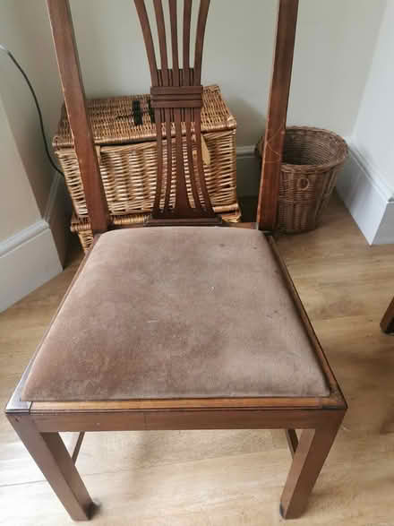 Photo of free 6 dining chairs (Withington M20) #3