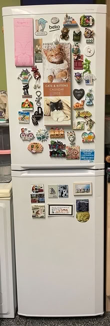 Photo of free Fridge freezer (Beighton S20) #1