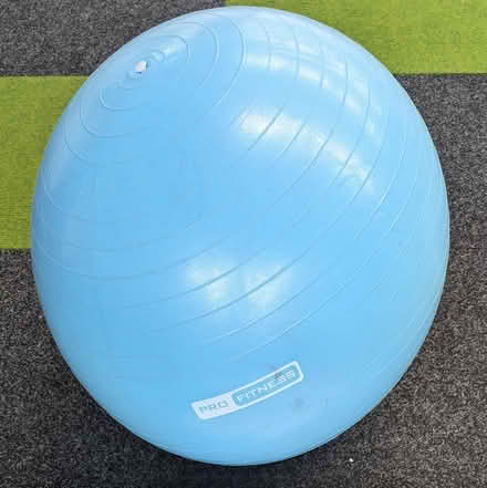 Photo of free Pro Fitness Exercise Ball (Abingdon, OX14) #1
