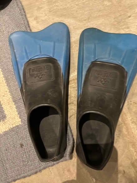 Photo of free Flippers (Cotham, Bristol BS6) #1