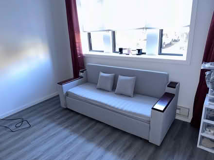 Photo of free “sofa pullout bed” (Philadelphia) #2